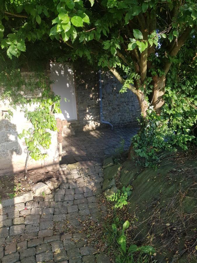 Elevage De La Hurie Saint-Nicolas-de-Pierrepont Dış mekan fotoğraf